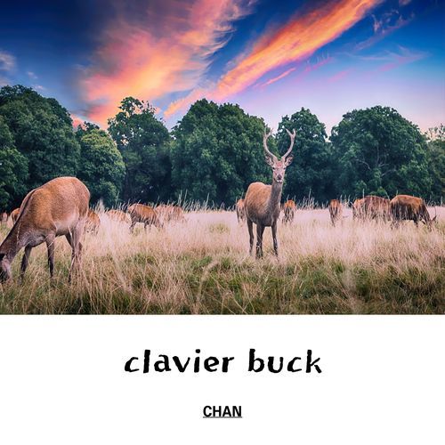 clavier buck_poster_image