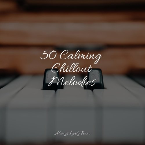 50 Calming Chillout Melodies