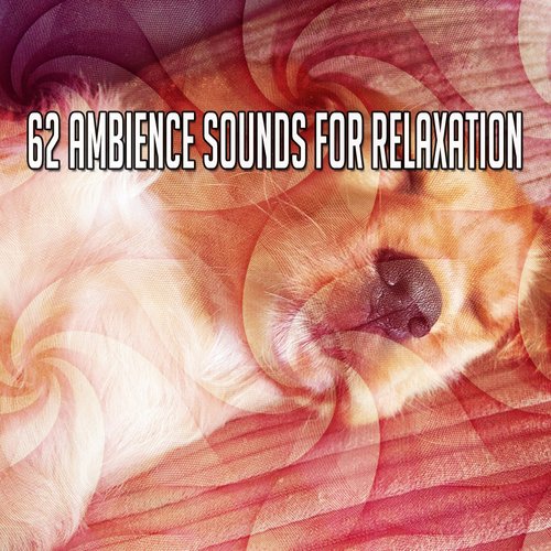 62 Ambience Sounds For Relaxation