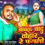 Aawata Yaad Tohar Re Pagali
