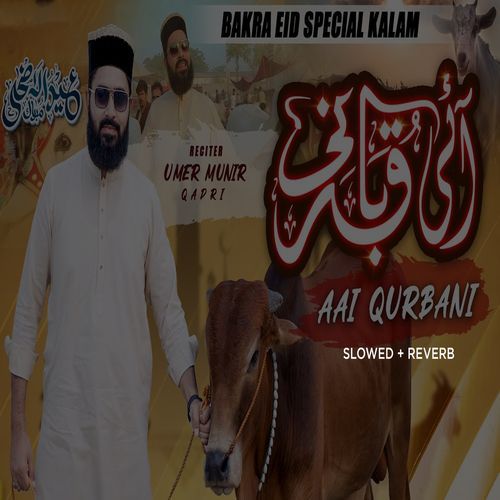 Ai Qurbani Lofi Version