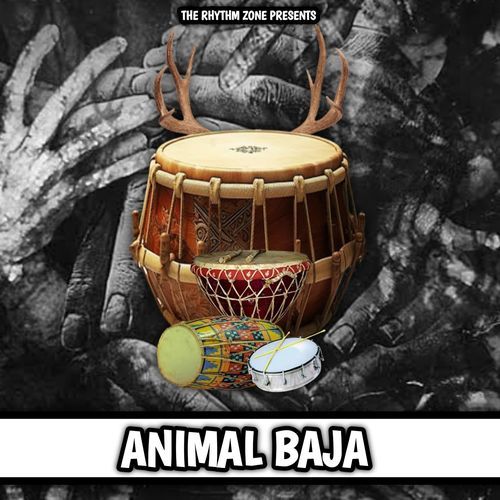 Animal Baja
