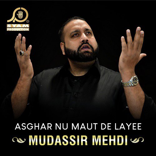 Mudassir Mehdi