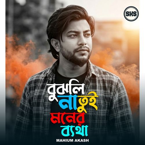 বুঝলি না তুই মনের ব্যথা