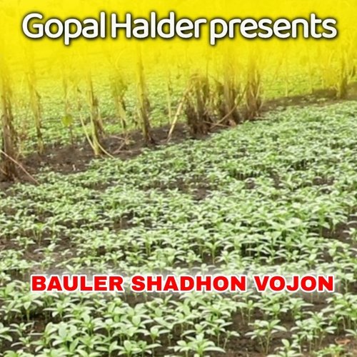 Bauler Shadhon Vojon