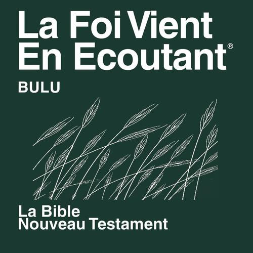 Bulu Du Nouveau Testament (Non-Dramatisée) - Bulu Bible