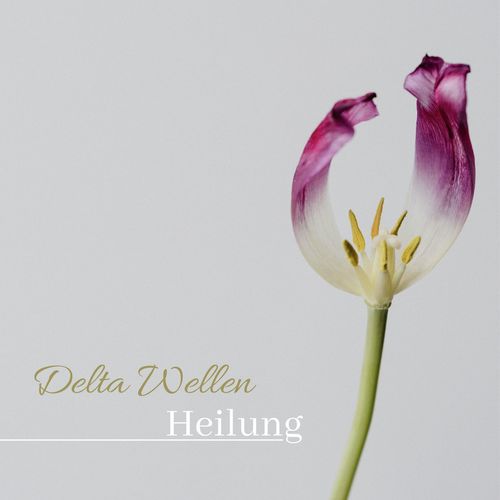 Delta Wellen Heilung