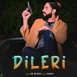 Dileri