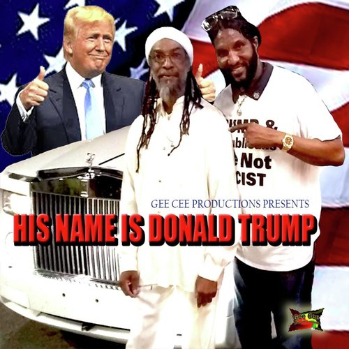 His Name Is Donald Trump_poster_image