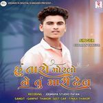 Hu Taro Moralo Ne Tu Mari Dhel