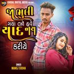 Ja Bhuli Gaya Tane Have Yad Nai Kariye