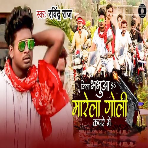 Jila Bhabua Ha Marela Goli Kapare Mein