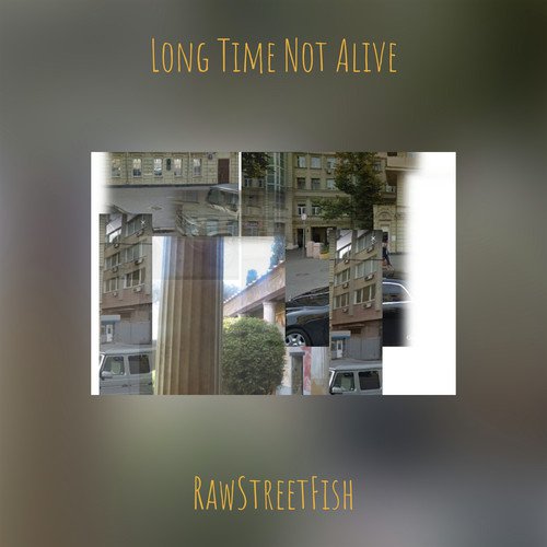 RawStreetFish