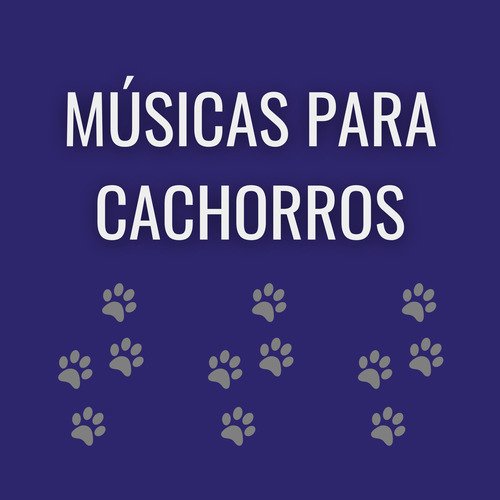 Musica para Ansiedade cover art