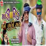 Mari Diku Mane Bhuli Gay