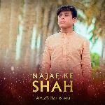 Najaf Ke Shah