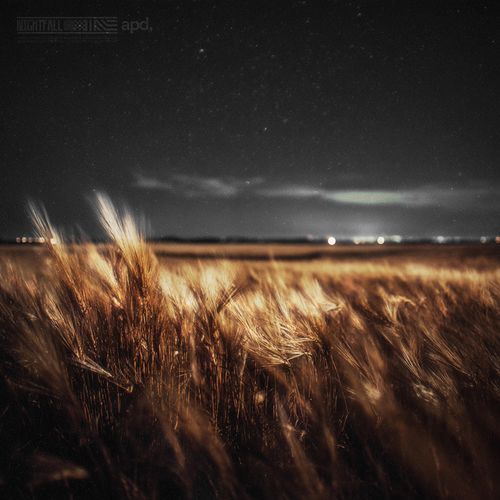 Nightfall