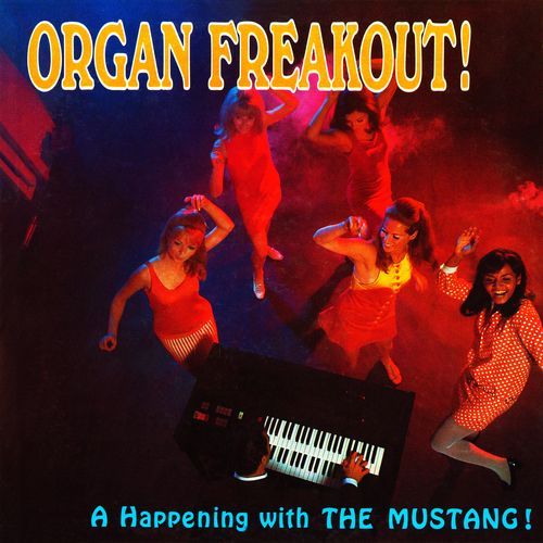 Golden Gate Freakout