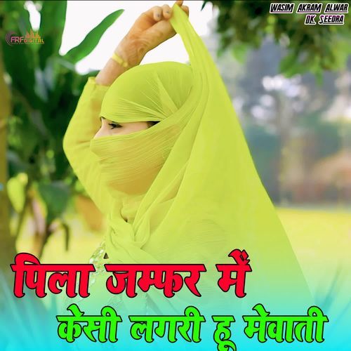 पिला जम्फर में केसी लगरी हू मेवाती