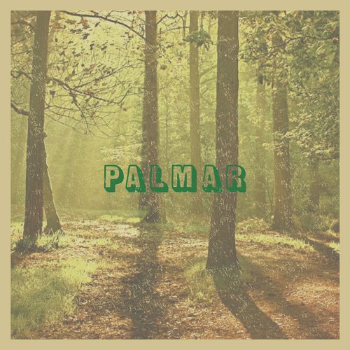 Palmar (En Directo Desde El Desierto) cover art