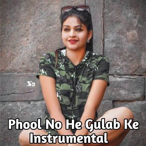 Phool Nohe Gulab ke Instrumental_poster_image