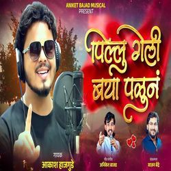 Pillu Geli Baya Palun