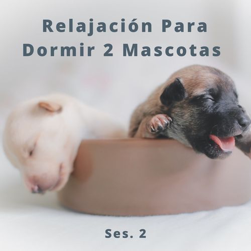 Música Para La Siesta De Los Gatos cover art