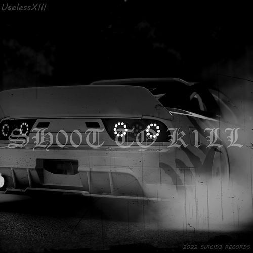 SH00T TO K1LL cover art