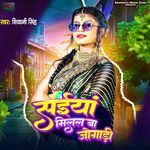 Saiya Milal Ba Jogadi