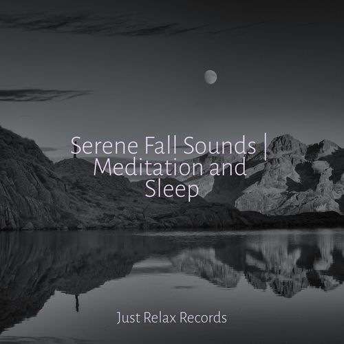 Serene Fall Sounds | Meditation and Sleep