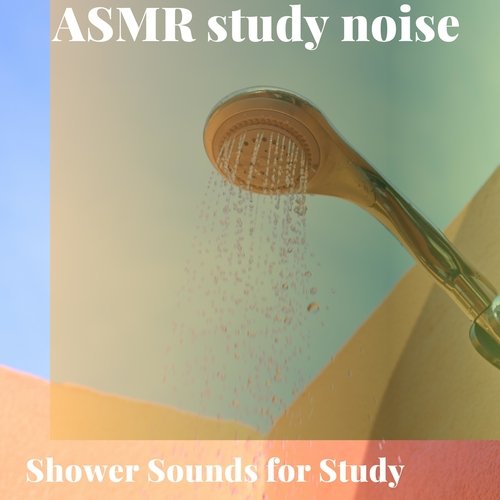 Exam Revision with Showers cover art