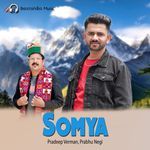 Somya artwork
