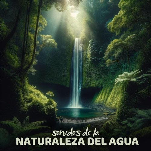 Harmonia Perfeita cover art