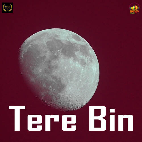 Tere Bin