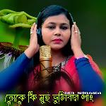 Toke ki Mui Bhulibar Pang