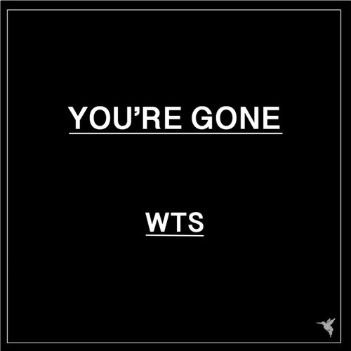 You&#039;re Gone (Mixes)_poster_image