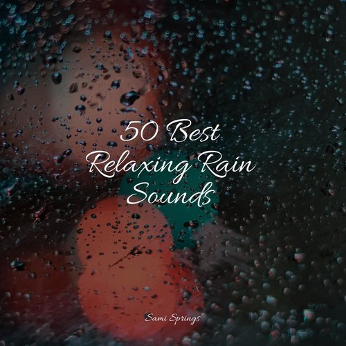50 Best Relaxing Rain Sounds
