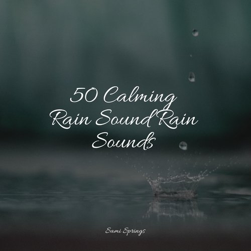 Rain, Storm and Thunder cover art