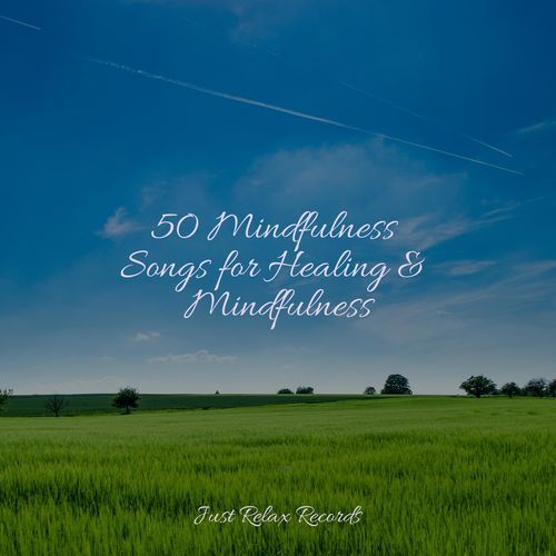 50 Mindfulness Songs for Healing & Mindfulness