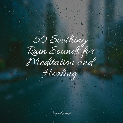 50 Soothing Rain Sounds for Meditation and Healing_poster_image