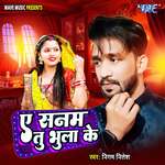 Ae Sanam Tu Bhula Ke