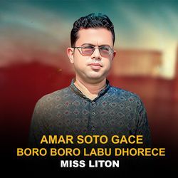 Amar Soto Gace Boro Boro labu Dhorece