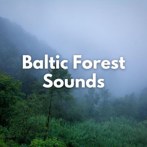 Baltic Forest Sounds_poster_image