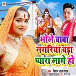 Bhole Baba Ke Nagariya Bada Pyara Lage Ho
