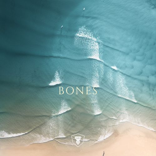 Bones