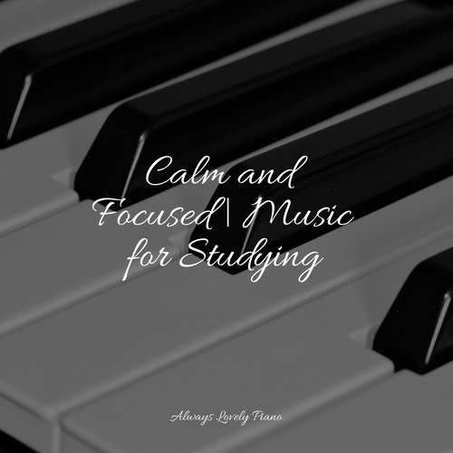 Calm and Focused | Music for Studying