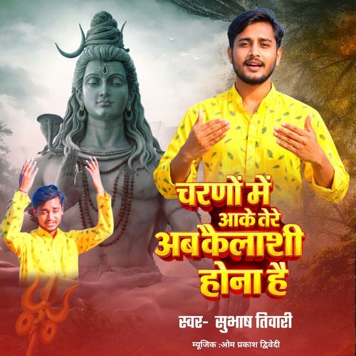 Charno Me Aake Tere Ab Kailashi Hona Hai
