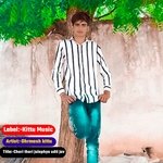 Chori thari julaphya udti jav