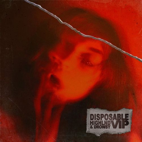 Disposable (VIP)_poster_image