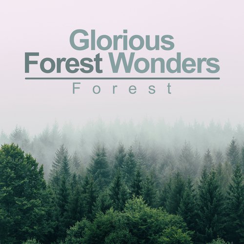 Glorious Forest Wonders